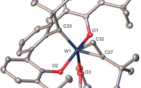 Nature Chemistry:高效催化剂破解环状高分子合成难题-炔烃合成环状高分子