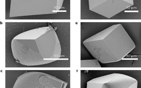 Nature materials：康奈尔大学通过添加氨基酸谐调优化方解石硬度