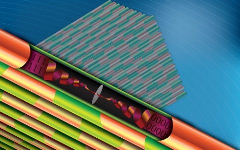 顶刊动态丨ACS Nano期刊电子材料学术进展汇总（4.21-5.3）