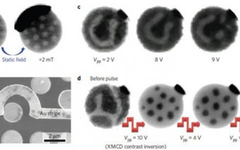 顶刊动态丨Nature子刊电子材料学术进展汇总（160525期）