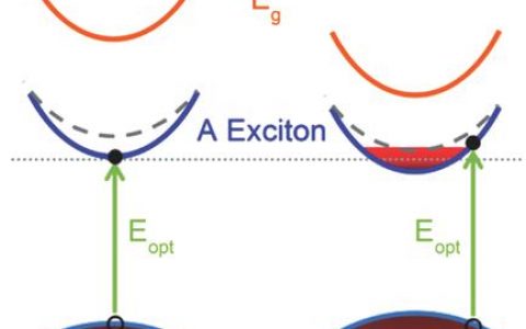 Advanced Materials：新加坡国立大学利用含氟衬底对单层MoS2和WS2进行性能调节