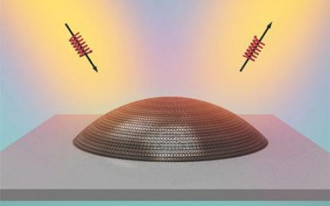 Advanced Materials：浙大陈红胜组研发全偏振3D超颖表面斗篷