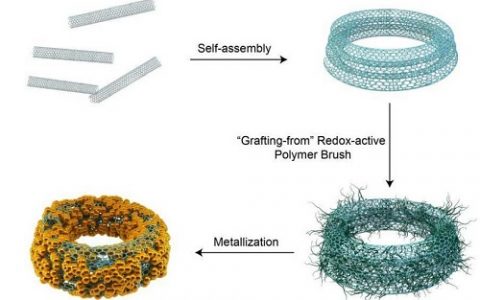 顶刊动态 | PANS/AM/JACS/Nano Letters等期刊生物材料学术进展汇总（5.11-5.19）