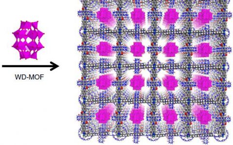 Nature Communications：超分子MOFs表现出高效均相和非均相光催化产氢活性