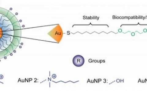 顶刊动态 | Nature子刊/ACS Nano等期刊生物材料学术进展汇总（5.6-5.12）