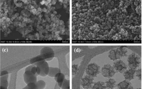 顶刊动态|Nature子刊/Macromolecules等高分子材料学术进展汇总【160526期】