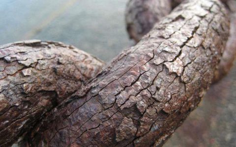 Scientific Reports: 研究人员合成出性能优异的三元过渡金属硼化物MoAlB