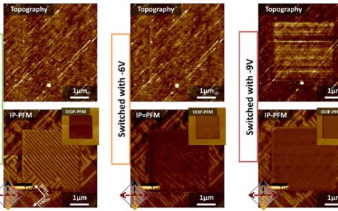 NPG Asia Materials:在高应变BiFeO3薄膜中的电增强磁化强度