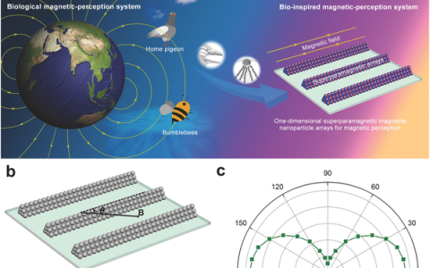 顶刊动态|AFM/JACS/Small等一周中国学术进展汇总(5.26-6.1)