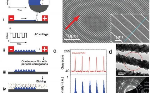 Advanced Materials：在任意形状的基体表面电沉积三维金属纳米结构