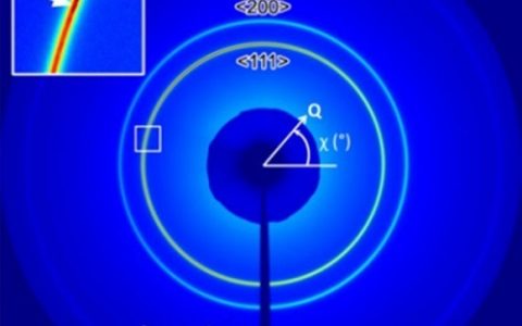 “晶海捞针”——新技术助力观察晶粒异常长大