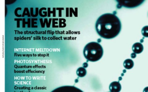 读书笔记|蜘蛛丝方向集水,话不能说的太细