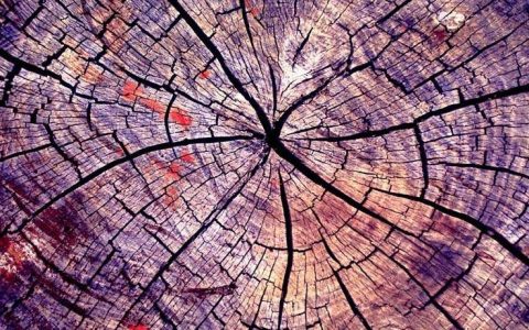 高温下的木材——你值得拥有