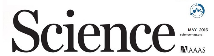5月份science