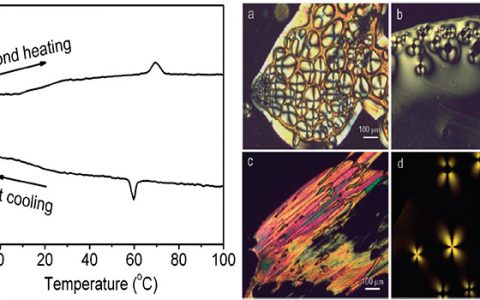 学术干货 | DSC分析从基本原理到实例解析