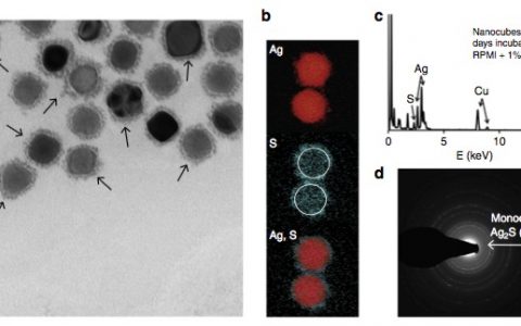 顶刊动态| Nature/AM/Nano Letters等纳米材料学术进展汇总【160625期】
