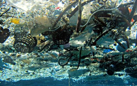 都错了  可生物降解塑料就是一个大谎言？！