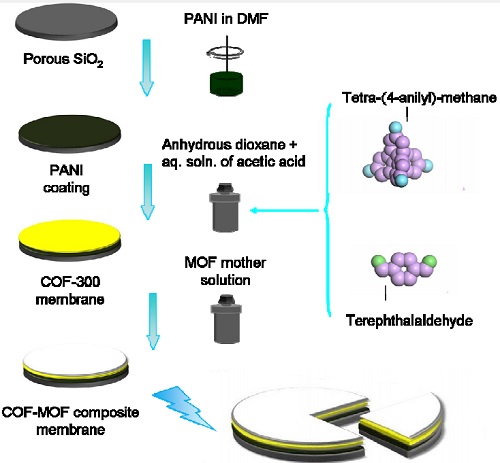 JACS1