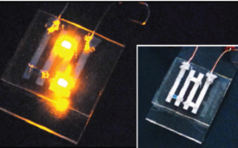 AFM：加拿大学者开发出新型阻气性弹性体，助力柔性光电制造