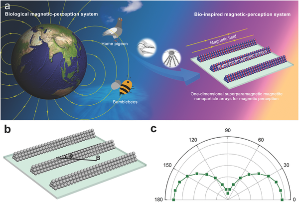 adma201601609-fig-0001