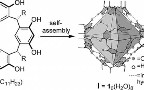 啥？亚胺离子上天了？还坐的超分子号飞船！