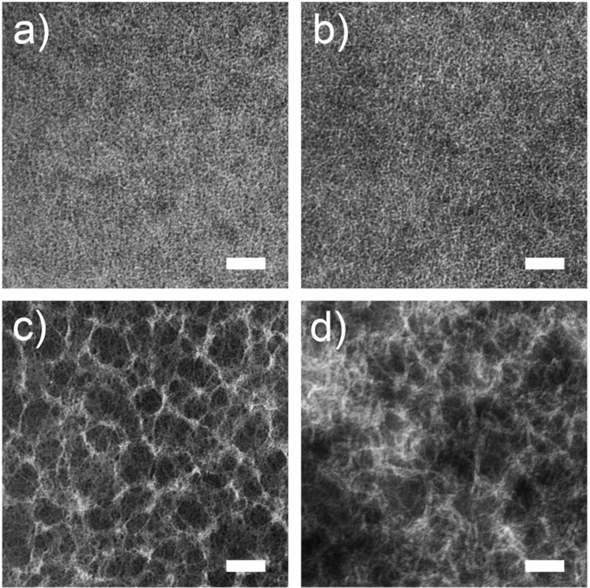 anie201602775-fig-0003