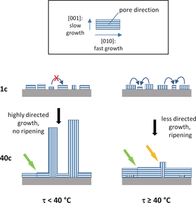 anie201602907-fig-0003