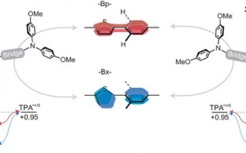 Nature Chemistry:界面电子从半导体转移到分子的动力学通道