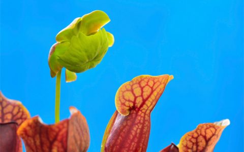 没有了摩擦会发生什么--细数无摩擦表面的10大运用