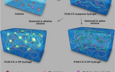 顶刊动态|Nature子刊/ AM/ Macromolecules高分子材料学术进展汇总【160629期】