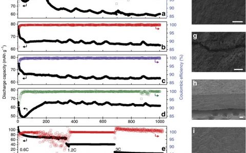 Nature Communications: 澳学者开发金属锂负极预处理方法 显著提高循环性能