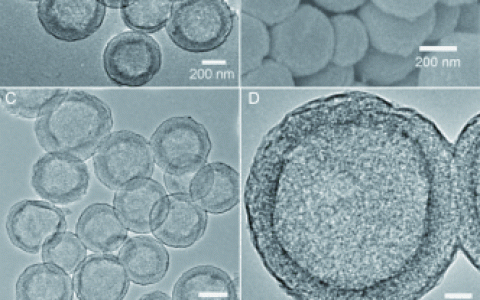 学术干货 | 测量纳米颗粒粒径的10种方法（附资源）