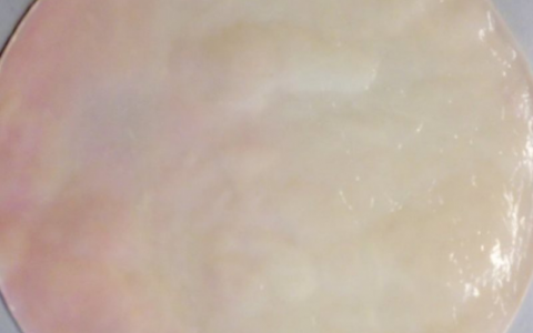 康普茶准备上天了!茶菌生产纤维素,有望加入火星任务