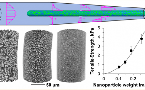 ACS Nano-纳米结构Bijel纤维原位力学性能测试