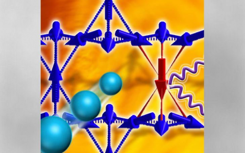 磁性材料可以hold住狡猾的韦尔费米子