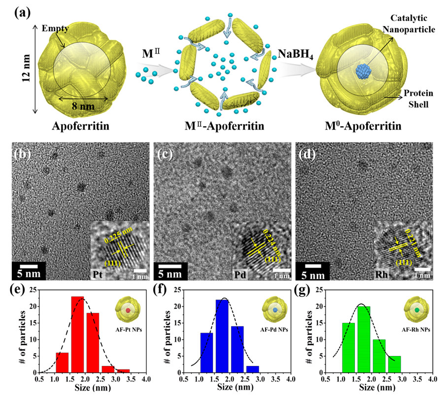 ACS Nano：改性介孔WO3纳米纤维造就性能优异气体传感器