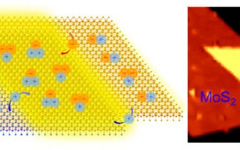ACS NANO：韩国成均馆大学在垂直堆叠异质结构同时观测到正trion和负trion
