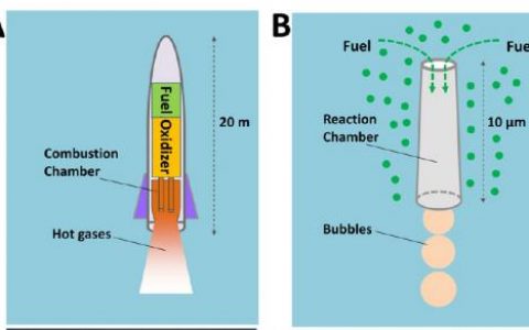 顶刊动态 | Nature子刊/AM/Biomaterials等生物材料学术进展汇总(5.26-6.3)
