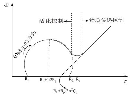 图片12