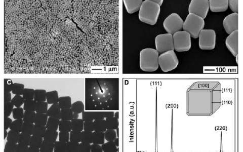 学术干货 | 读经典顶刊文献，学纳米贵金属材料的合成方法