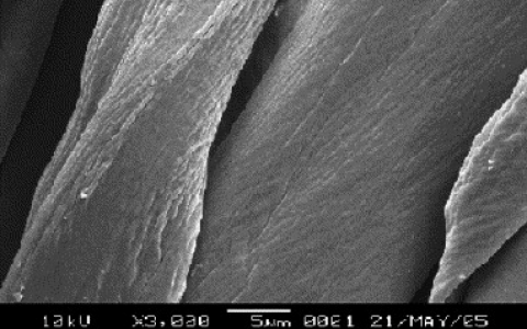 学术干货 |不可错过的SEM学习手册，你值得拥有！