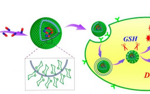 顶刊动态|Nature子刊/JACS/AM等一周中国学术进展汇总【第47期】
