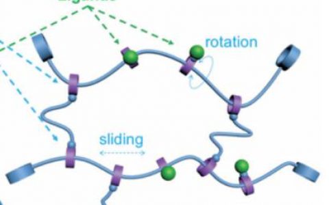 顶刊动态 | AM/Nano Letters/ACS Nano生物材料最新学术进展汇总【160626期】