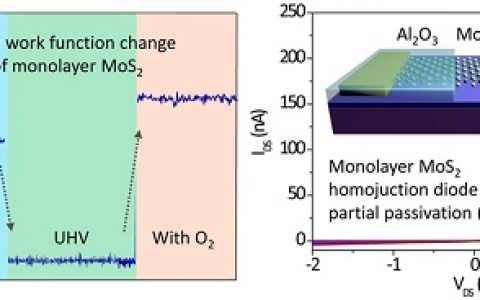 ACS Nano: 环境气体实现单层MoS2的宽范围功函数调制