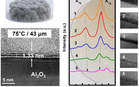 ACS Nano: 脉冲激光沉积实现大面积制备MoS2的原位厚度控制