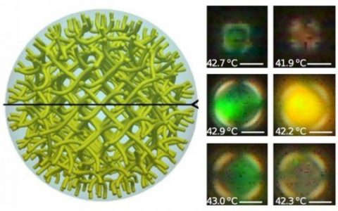 缺陷变成贡献——微小液滴带来液晶的卓越性能