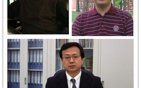 Advanced Materials：吉大杨文胜等制备出具有磁场感知能力的仿生一维超顺磁磁铁矿阵列