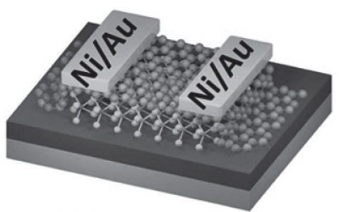 Advanced Materials: 原子级厚度h-BN作为隧穿层制作高迁移率MoS2晶体管