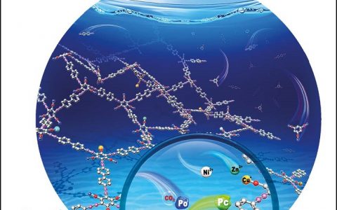 Angew. Chem. Int. Ed. 中科院化学所合成一种介孔聚合物,可用于二氧化碳的捕获与转化