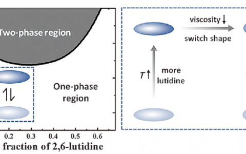 Angew.Chem.Int.Ed:形状可控的温度响应性胶体粒子